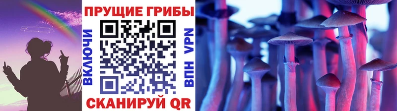сколько стоит  Нижний Новгород  Галлюциногенные грибы Magic Shrooms 